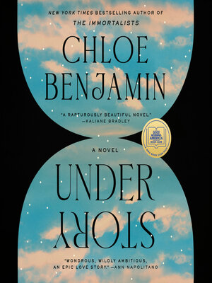 cover image of Under Story